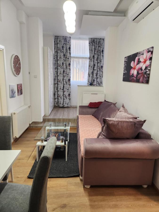 Apartman Zagreb Cca 42M2 With Free Parking Kültér fotó