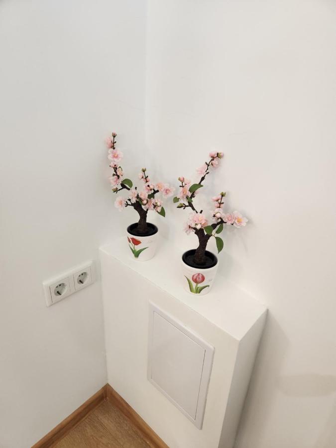 Apartman Zagreb Cca 42M2 With Free Parking Kültér fotó