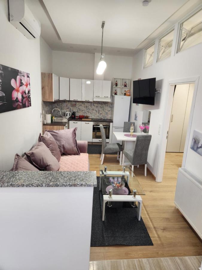 Apartman Zagreb Cca 42M2 With Free Parking Kültér fotó
