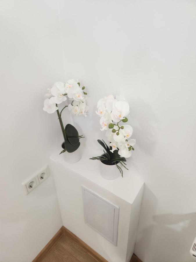 Apartman Zagreb Cca 42M2 With Free Parking Kültér fotó